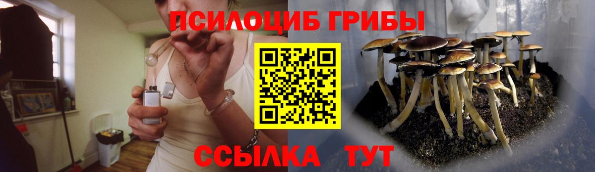 Псилоцибиновые грибы Psilocybine cubensis  сколько стоит  Батайск  Вход с VPN 